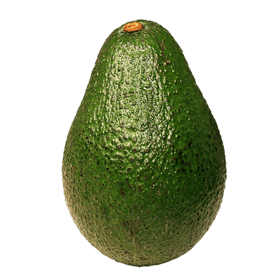Haas Avacado Large