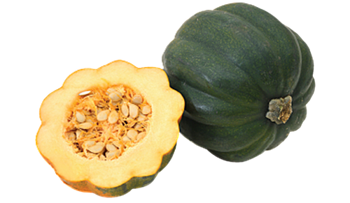 Acorn Squash (Green/White/Gold)- Organic
