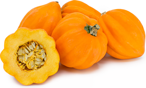 Acorn Squash (Green/White/Gold)- Organic