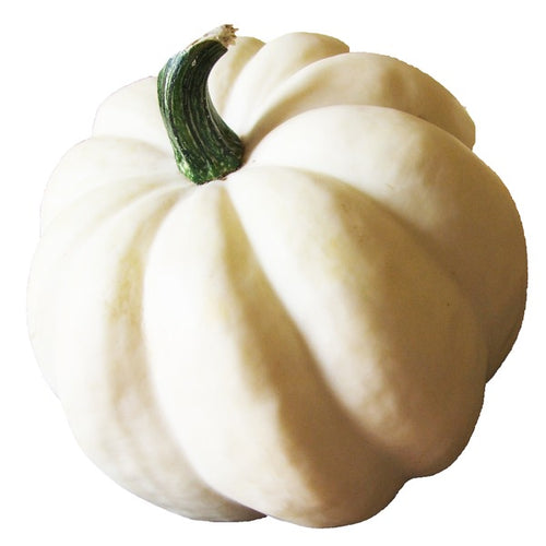 Acorn Squash (Green/White/Gold)- Organic