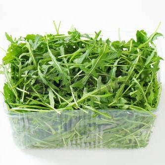 Baby Arugula 1 pack