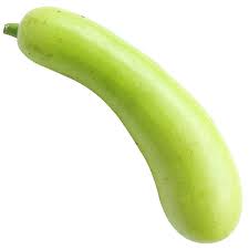 Bottle Gourd (Opo Squash)