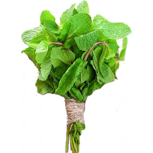 Lemon Balm Mint - Bunch