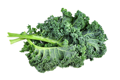 Kale - Bunch