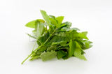 Lemon Balm Mint - Bunch