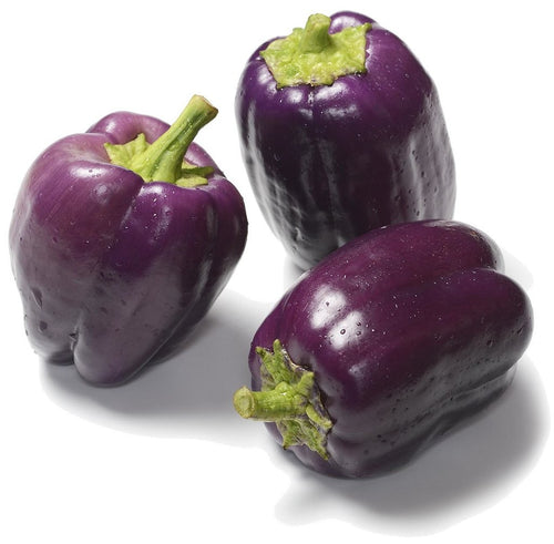 Purple Bell Peppers - Organic