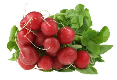 Radish 2-Bunch Pack- Organic