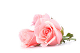 Roses (Edible Flower)