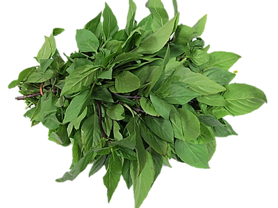 Fresh Thai Basil - Bunch
