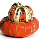 Turkey Turban Squash - Organic