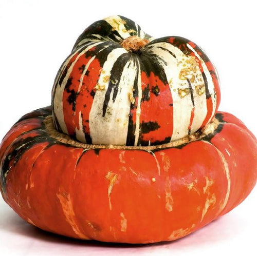 Turkey Turban Squash - Organic