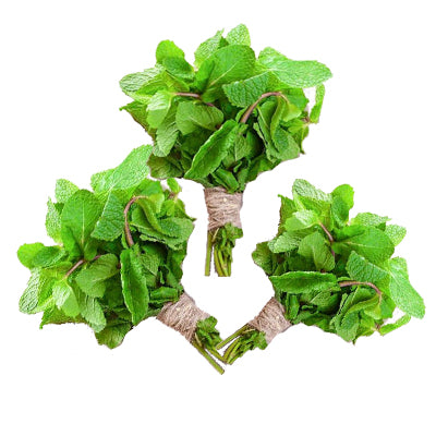 Fresh Peppermint - 3 Bunch
