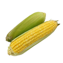 Sweet Corn on a Husk -2 count - Organic