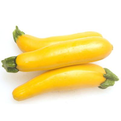 Yellow Zucchini 1-pound Organic