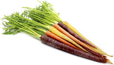 Rainbow Carrots - Organic