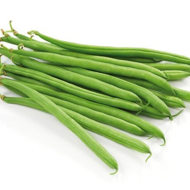 Green Beans 1-Pound - Organic
