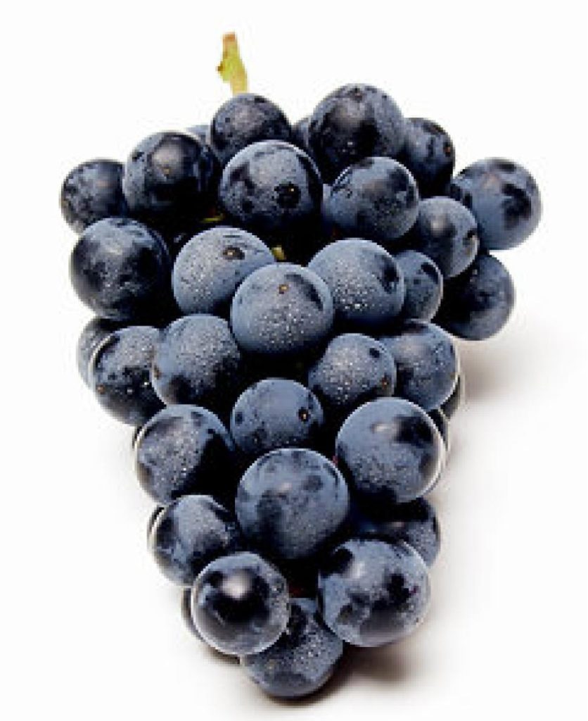 Concord-Grapes_v2_ca9f9495-