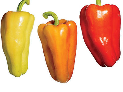 Yellow Bell Peppers - Organic – Suji Fresh