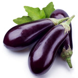 Italian Eggplant - Organic