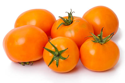 Orange Vine Ripe Tomatoes - Organic
