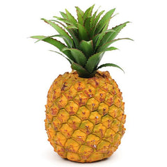 Pineapple 1-Head
