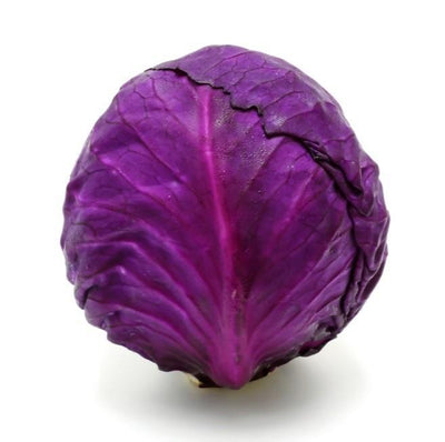 Purple Cabbage - 1 Head - Organic