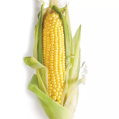 Sweet Corn on a Husk - Organic