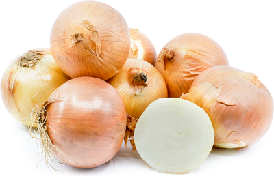 Onions - 1.5 Pound
