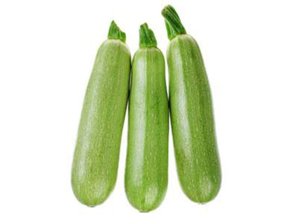 Zucchini/summer squash Mixed Variety - Organic