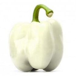 Ivory Bell Peppers - Organic
