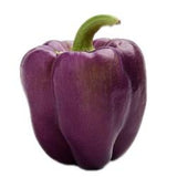 Purple Bell Peppers - Organic