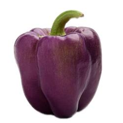 Fresh Organic Color Bell Peppers, 2 Count